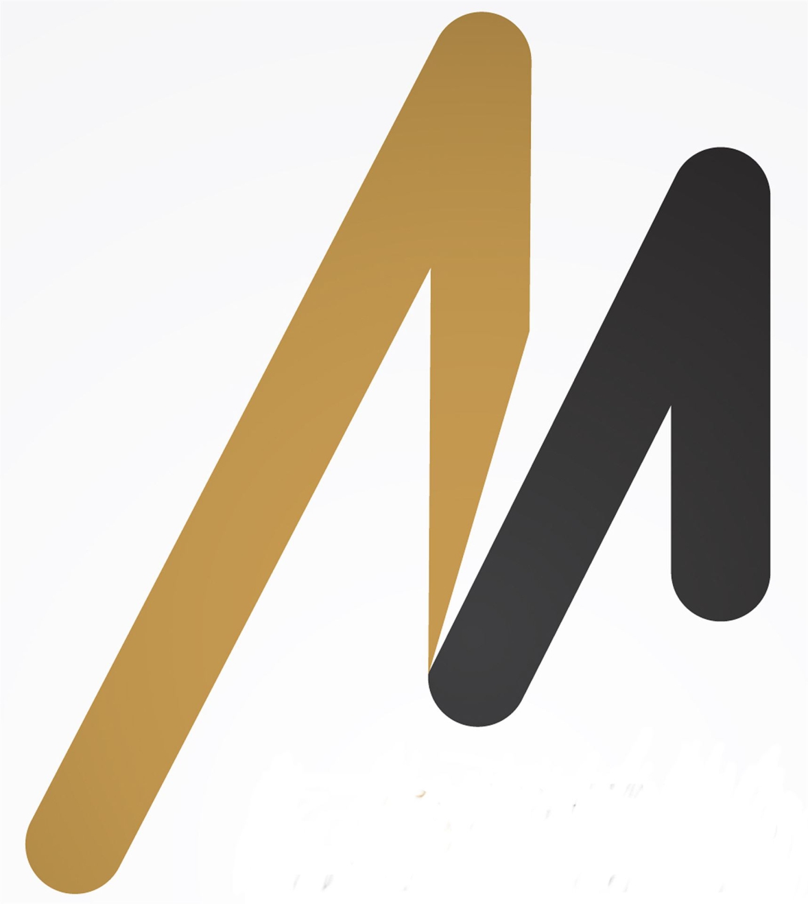 DER DIGITALE SCHLÜSSEL - MICHEL MEDIA GROUP